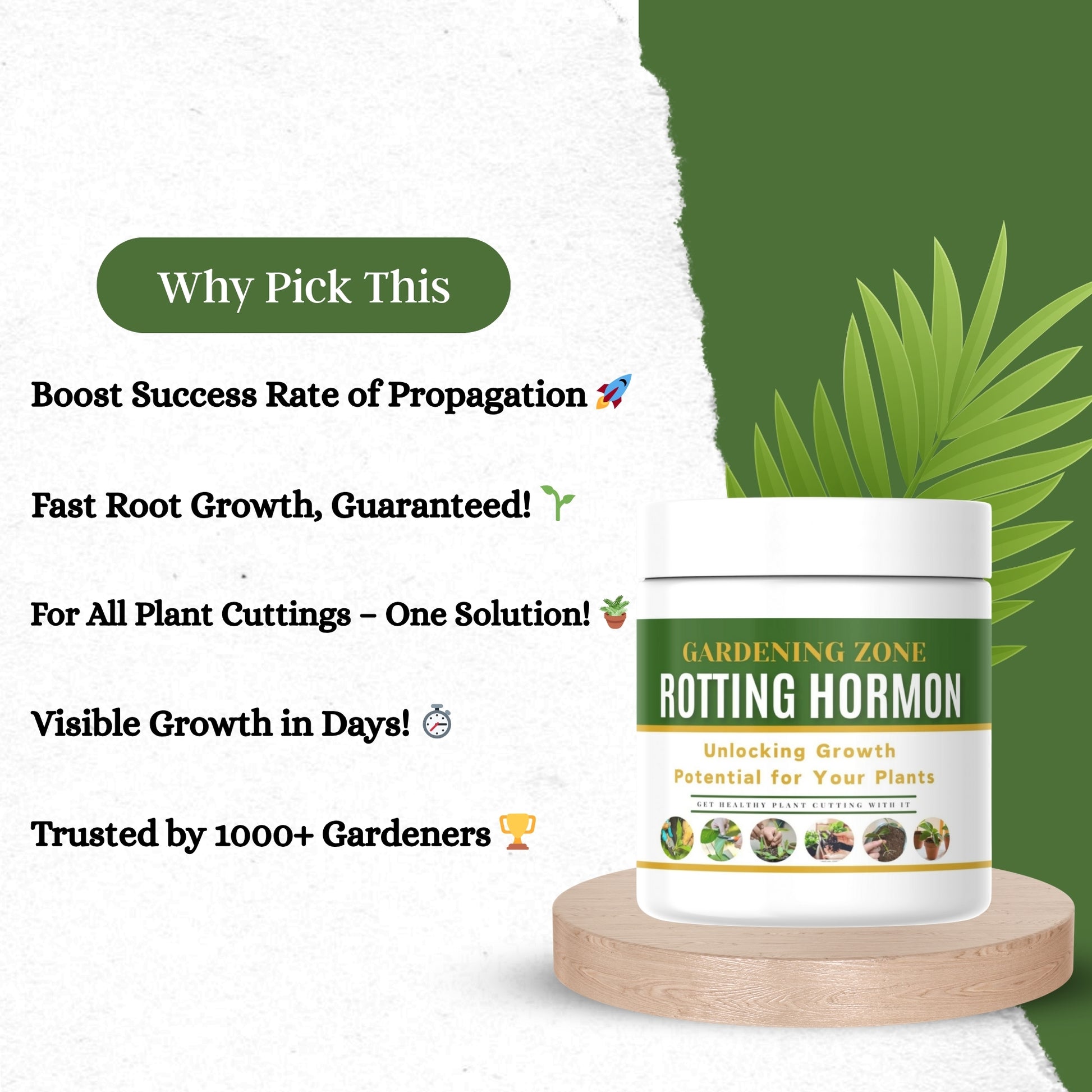 Gardening Zone High Quality Rooting Hormone Powder - 40g Net Weight - Boost Root Growth Naturally!"