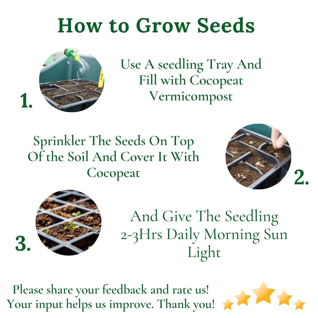 Gardening Zone Summer Flower Seeds Combo | 9 Varieties,+ High-Germination Seeds | Easy to Grow for Home & Outdoor Gardening