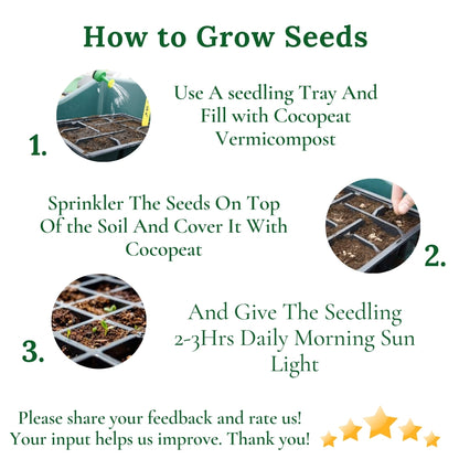 Gardening Zone Summer Flower Seeds Combo | 9 Varieties,+ High-Germination Seeds | Easy to Grow for Home & Outdoor Gardening