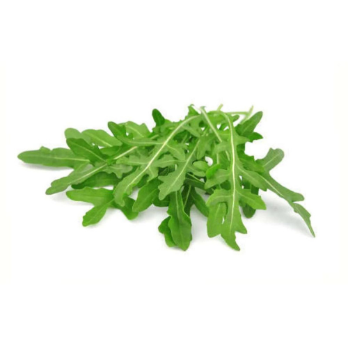 Gardening Zone High Quality Rocket Leafs 20 Seeds