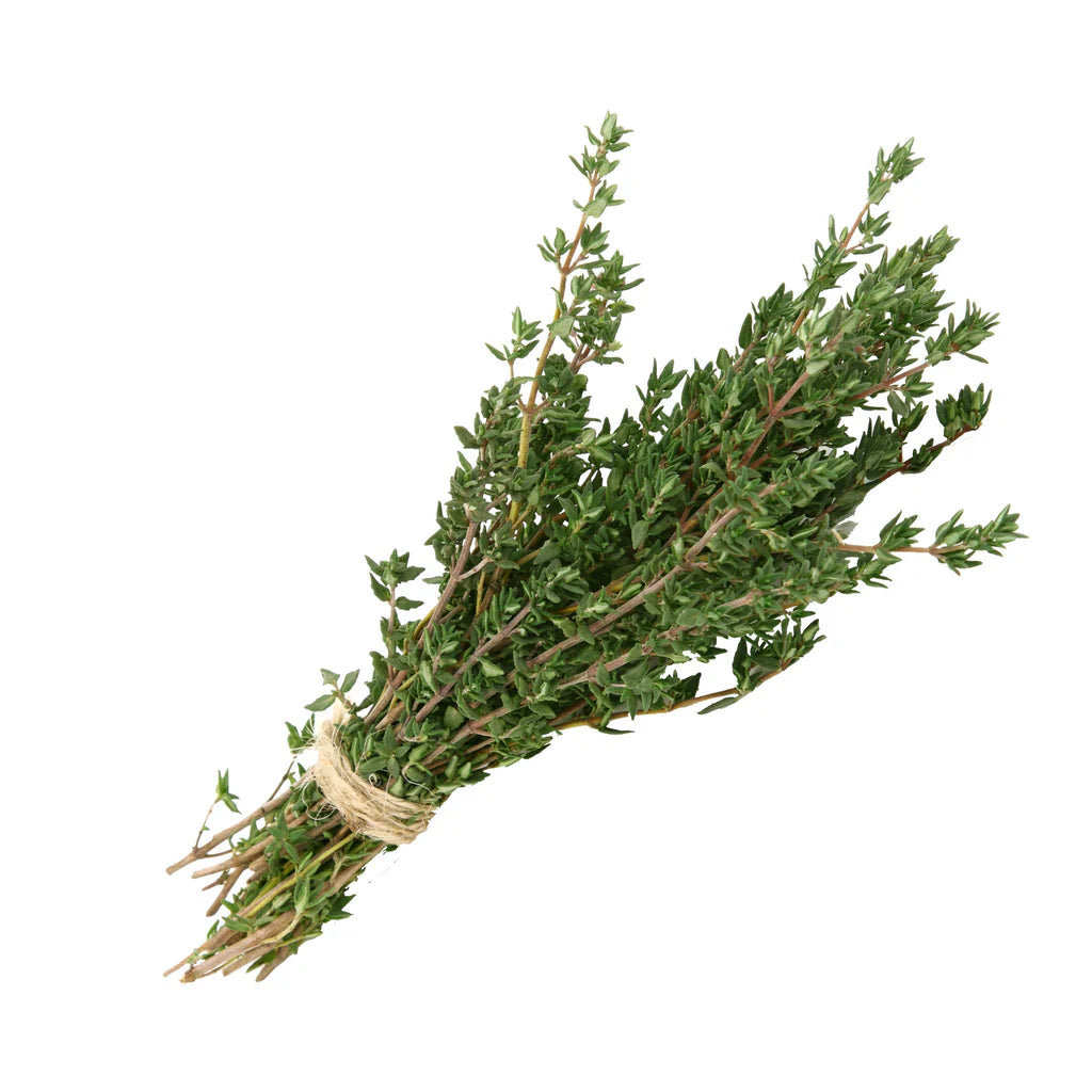 Gardening Zone High Quality Thyme English Winter 20 Seeds