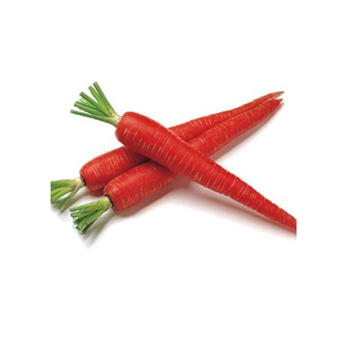 Gardening Zone High Quality Red Carrot 20 Seeds