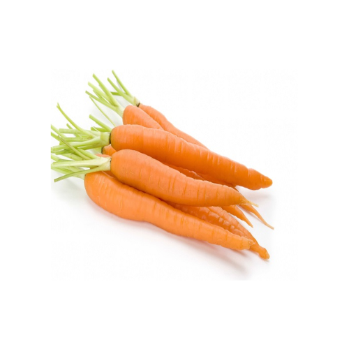 Gardening Zone High Quality Orange 20 Seeds