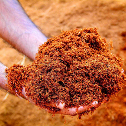 Gardening Zone 900Gram Ready-to-Use Cocopeat for Plants – 100% Natural Coconut Coir | Potting Mix, Soil Substitute, Seed Starting Medium