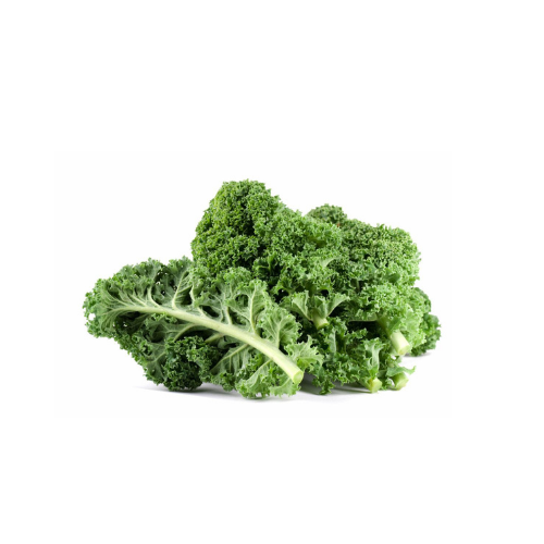 Gardening Zone High Quality Curly Kale Seeds