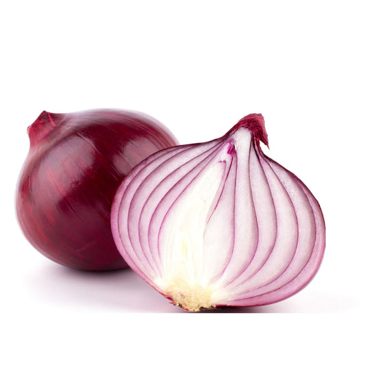 Gardening Zone High Quality Onion Red 50 Seeds