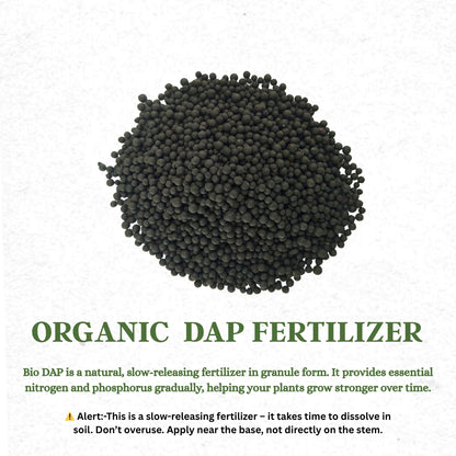 Gardening Zone 400Gram Organic DAP Fertilizer – Nitrogen & Phosphorus Booster