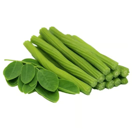 Gardening Zone High Quality Morninga/Drumstick/सहजन (Sahjan) 10 Seeds