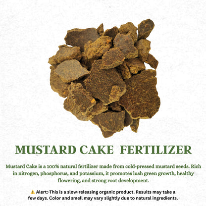 Gardening Zone Mustard Cake Fertilizer – Organic Soil Booster for Healthy Plants