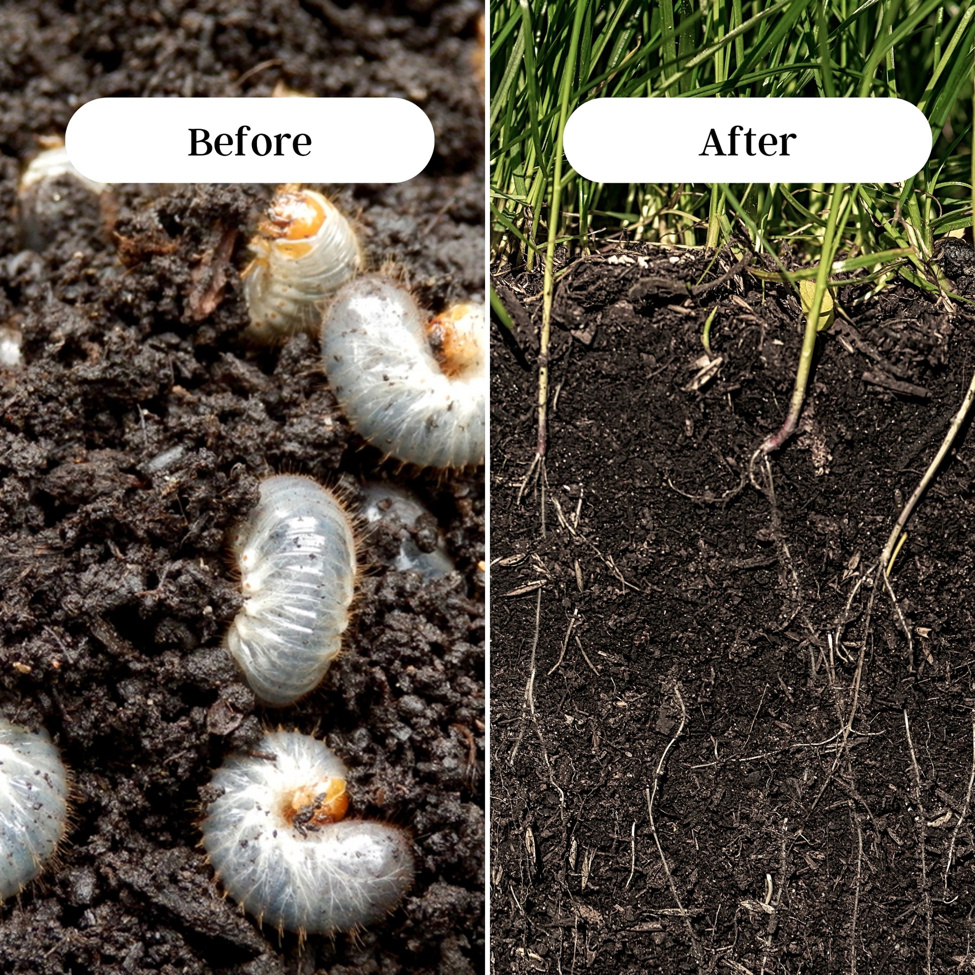 Gardening Zone Neem Cake Fertilizer – Natural Pest Control & Soil Enricher