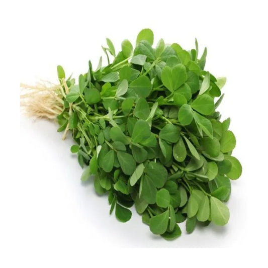 Gardening Zone High Quality Kasuri Methi (कसूरी मेथी) 50Seeds