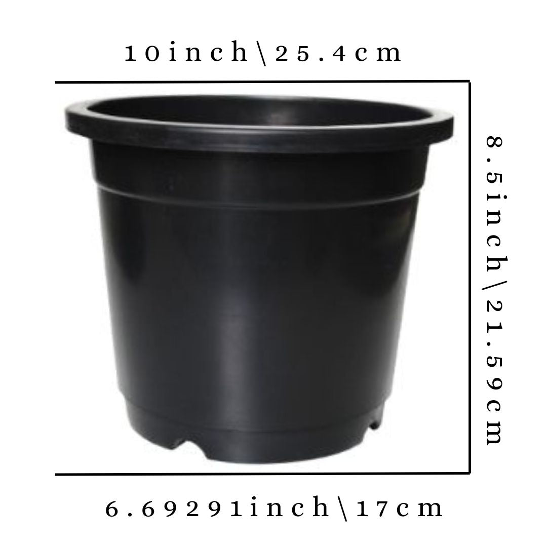 Gardening Zone High Quality  10-Inch Plant Pots (Pack of 9) - Spacious and Durable Containers for Healthy Plants