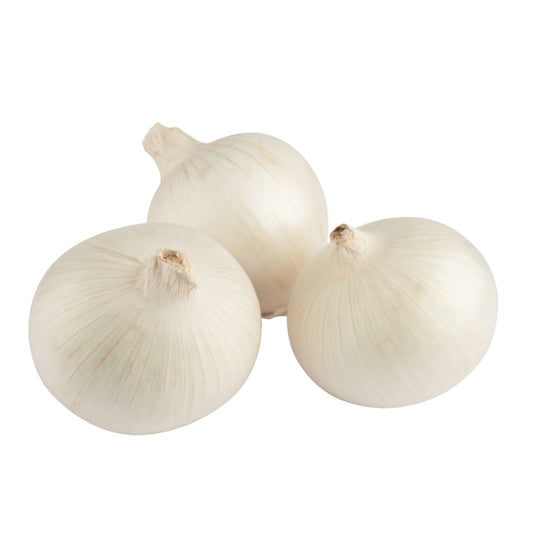 Gardening Zone High Quality Onion White 50 Seeds