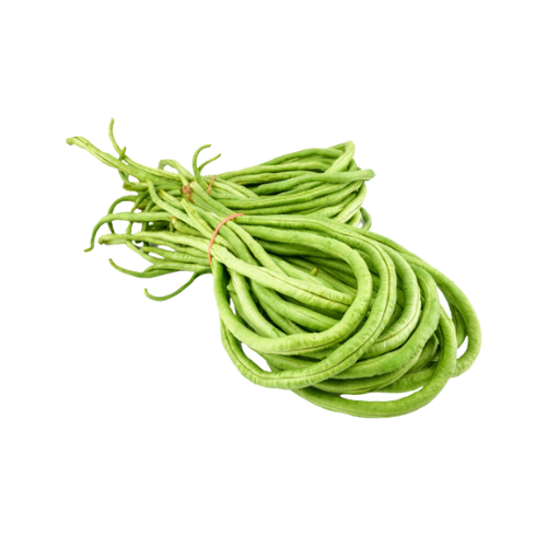 Gardening Zone High Quality  Beans Long Green 15 Seeds