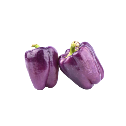 Gardening Zone High Quality F 1 Purple 10 Seeds