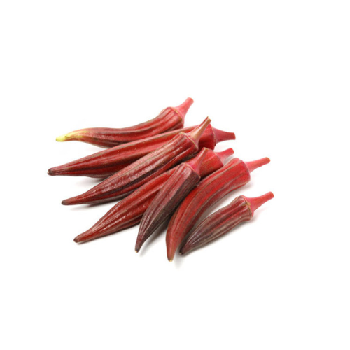 Gardening Zone High Quality Okra Red 20 Seeds