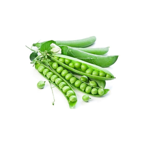 Gardening Zone High Quality Peas Long Green 15 Seeds