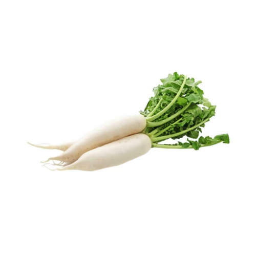 Gardening Zone High Quality Radish White Long 20 Seeds