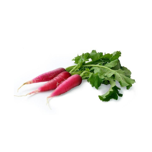 Gardening Zone High Quality Radish Red Long 20 Seeds