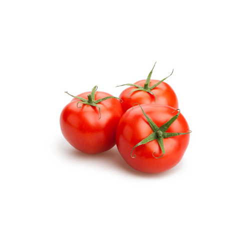 Gardening Zone High Quality Tomato Round Red 20 Seeds