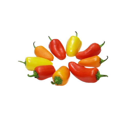 Gardening Zone High Quality Chili Hot Pepper 20 Seeds