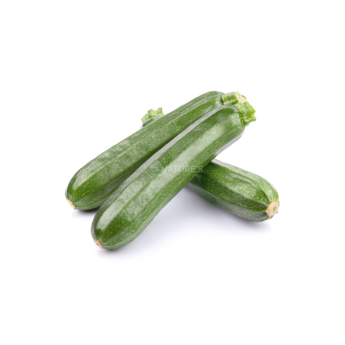 Gardening Zone High Quality Zucchini F1 Green 15 Seeds