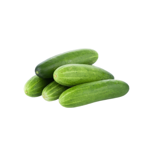 Gardening Zone High Quality Cucumber 20 Seeds