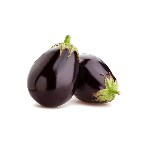 Gardening Zone High Quality Brinjal Black Beauty 20 Seeds