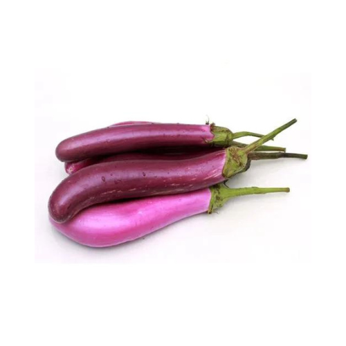 Gardening Zone High Quality Brinjal Purple Long 20 Seeds