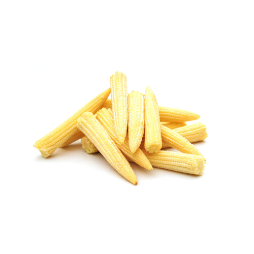 Gardening Zone High Quality Baby Corn 15 Seeds