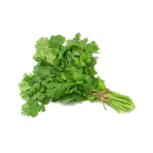 Gardening Zone High Quality Coriander Green 100 Seeds