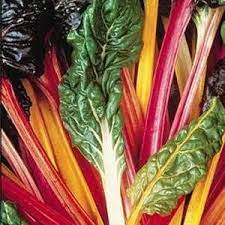 Gardening Zone High Quality  Swiss Chard mix 20 Seeds