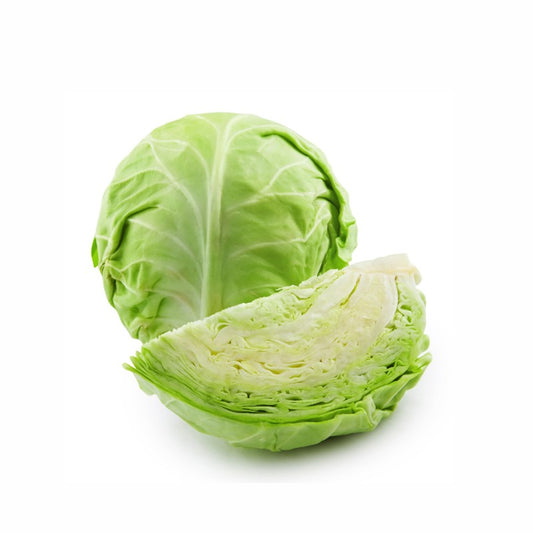 Gardening Zone High Quality Cabbage Green 15 Seed